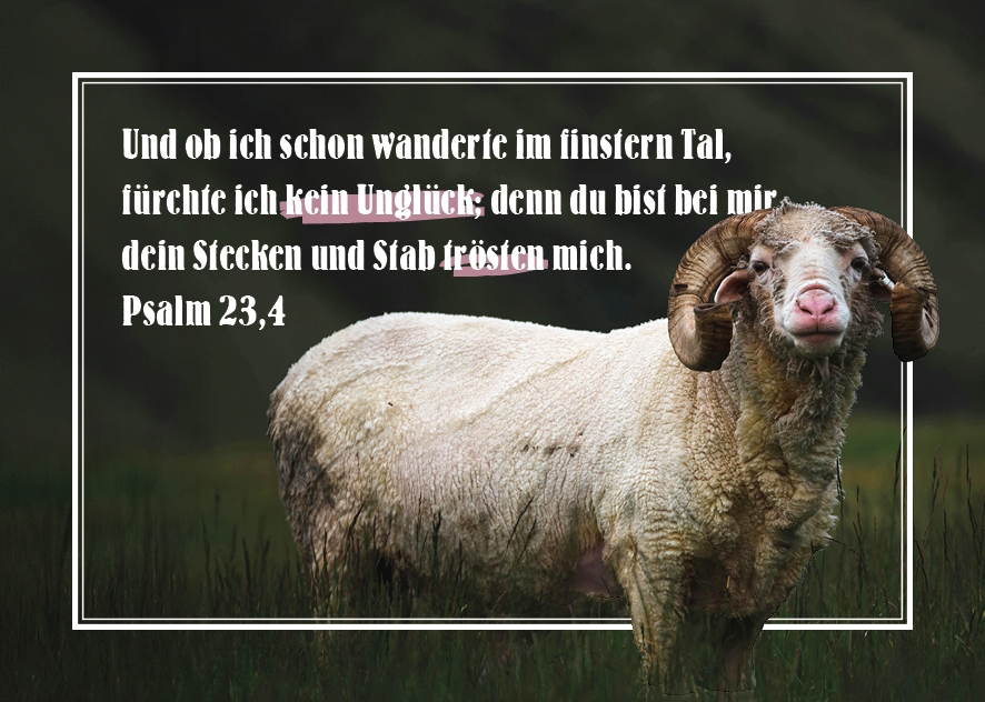 Design-Postkartenset3