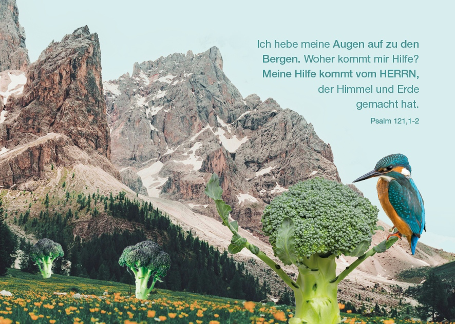 Design-Postkartenset7