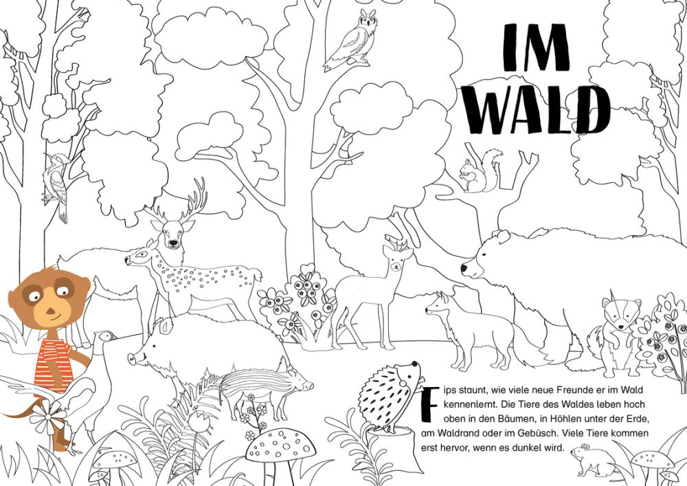 Fips entdeckt die Welt 2