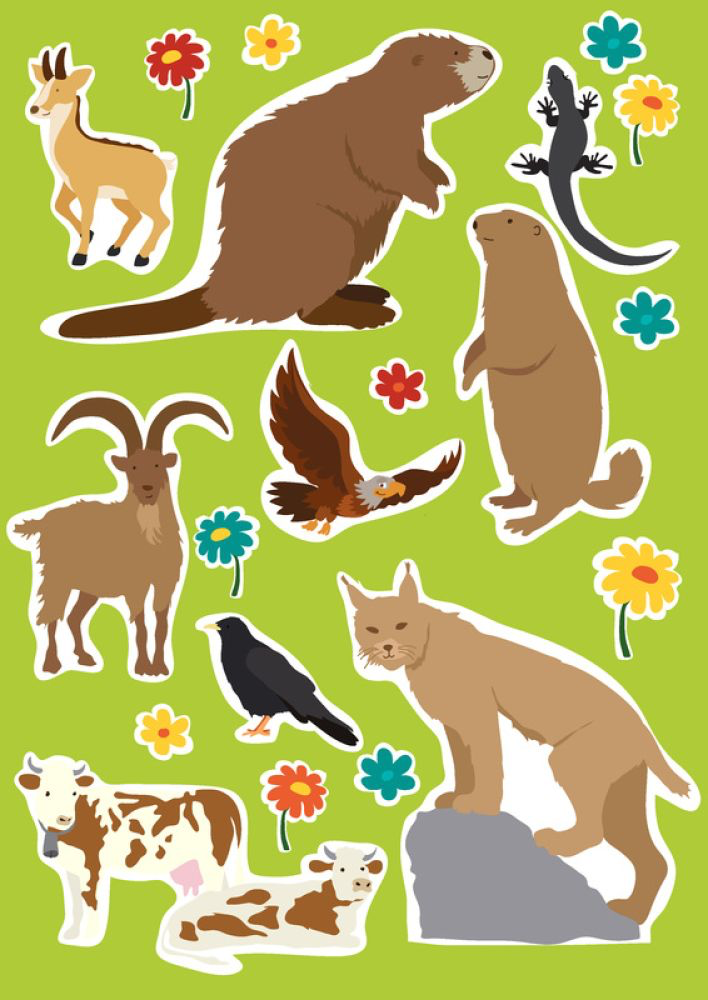 Fips entdeckt die Welt 4