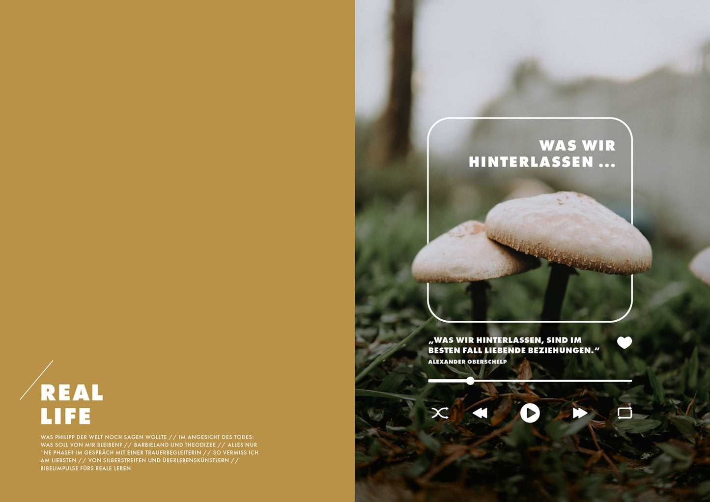 Die DRAN-Real-Life Edition (3 Magazine im Set)