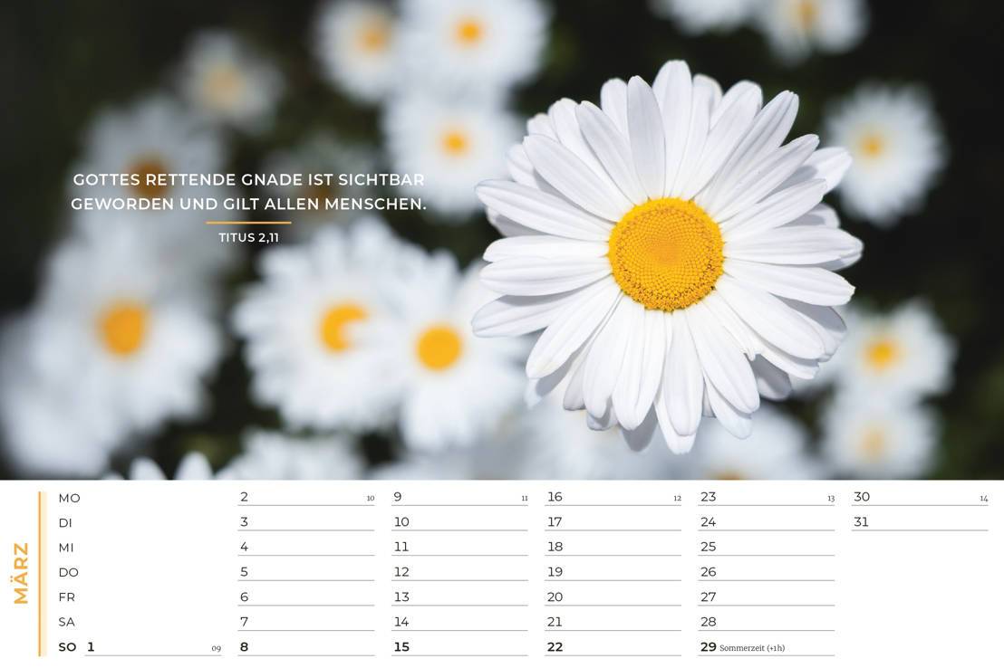 Life-is-More Panoramakalender 2026