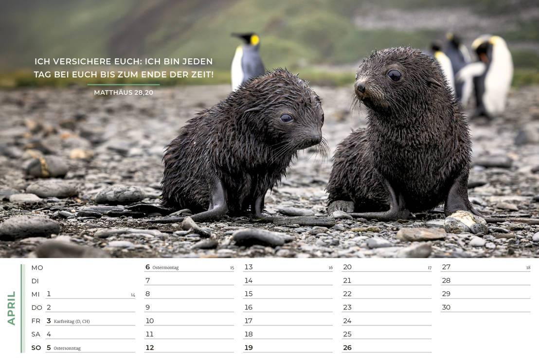 Life-is-More Panoramakalender 2026